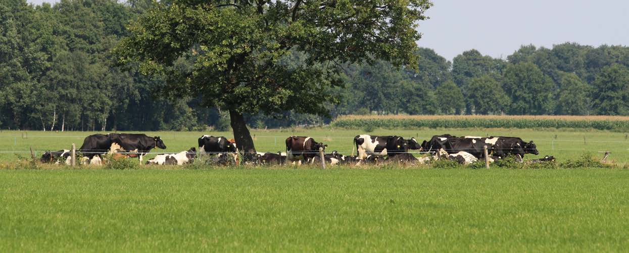 Nieuwsbrief Enter Van de voorzitter In deze nieuwsbrief informeren we u graag over de voortgang in beide deelgebieden van de landinrichting Enter: Enter-Ypelo en Deldenerbroek.