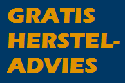 Gratis hersteladvies voor uw beleggingsverzekering Een beleggingsverzekering is een vorm van een levensverzekering waarbij door te beleggen een kapitaal wordt opgebouwd.