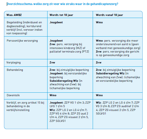 Ad f) en g) Voorbeelden van algemene voorzieningen in de markt zijn: - Kinderopvang - Boodschappendiensten supermarkten - Glazenwasser - Tuinonderhoud - Commercieel sportaanbod - Gemaksdiensten van