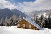 Winterreizen / Europa / Italië Code 515205 LA individuele reis Niveau Accommodatie Waardering Italië - Val di Sole, 8 dagen Op sneeuwschoenen in het Val di Peio, sneeuwwandelen vanuit hotel Aan de