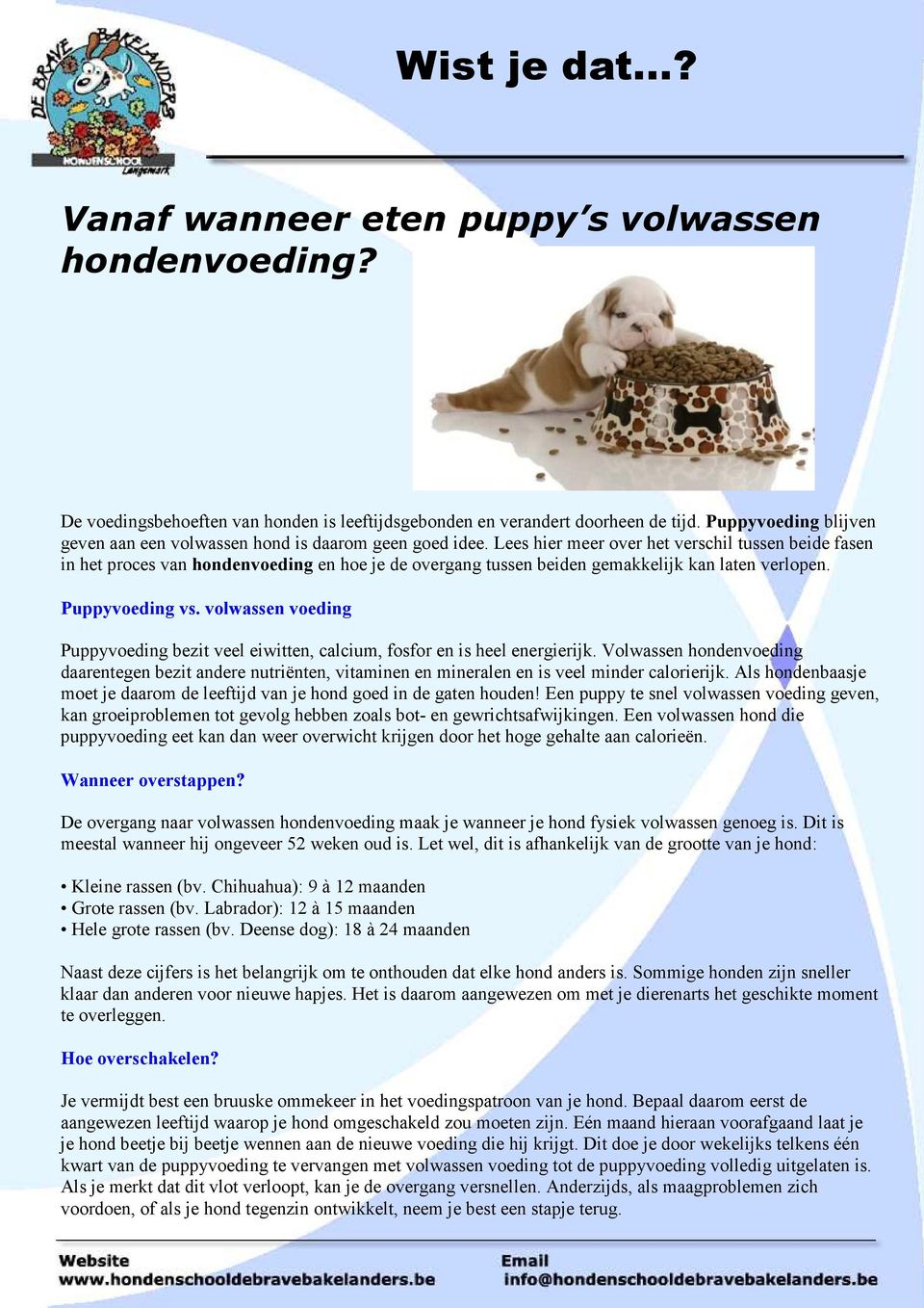 Lees hier meer over het verschil tussen beide fasen in het proces van hondenvoeding en hoe je de overgang tussen beiden gemakkelijk kan laten verlopen. Puppyvoeding vs.