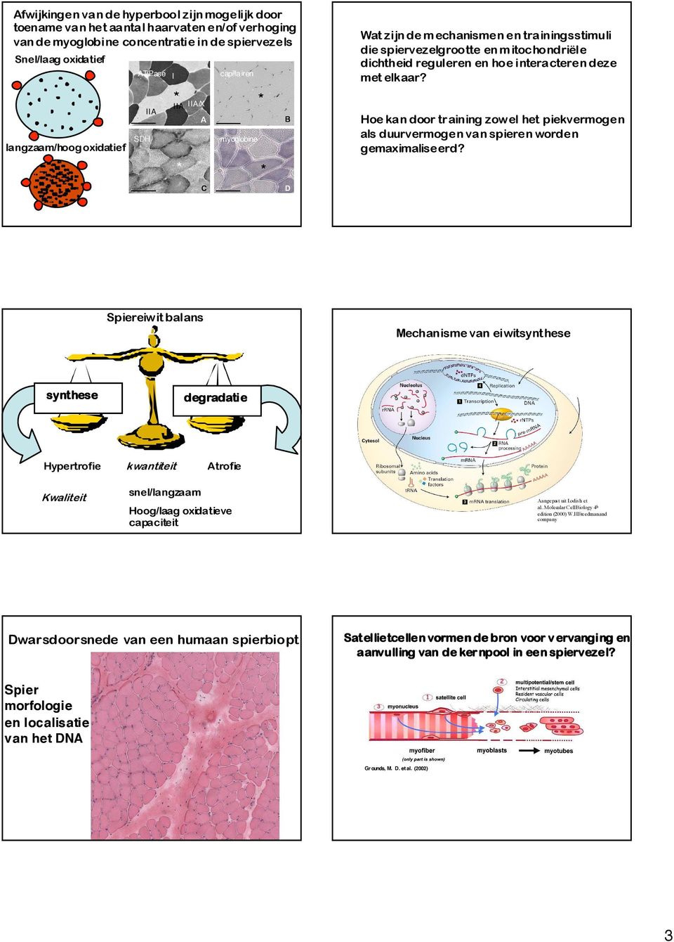 .molecular Cell Biology 4 th edition () W.