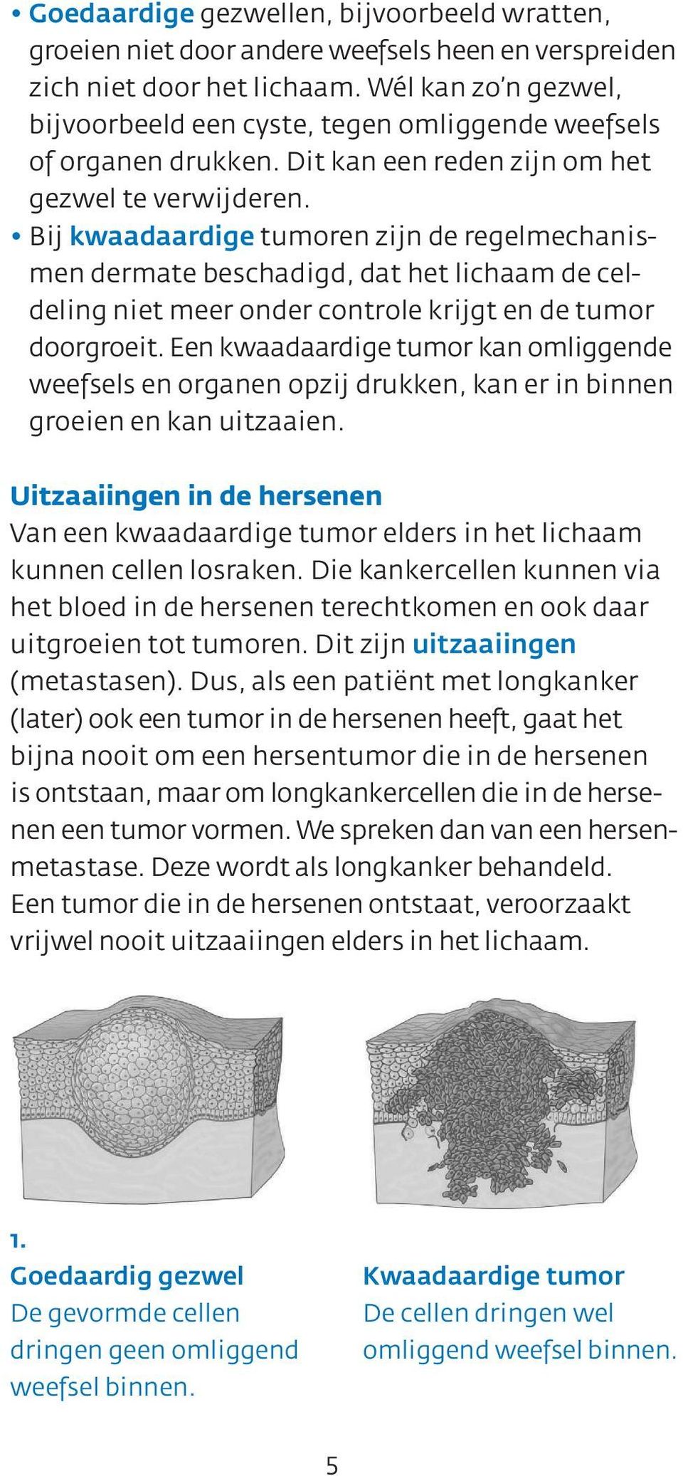 Bij kwaadaardige tumoren zijn de regelmechanismen dermate beschadigd, dat het lichaam de celdeling niet meer onder controle krijgt en de tumor doorgroeit.