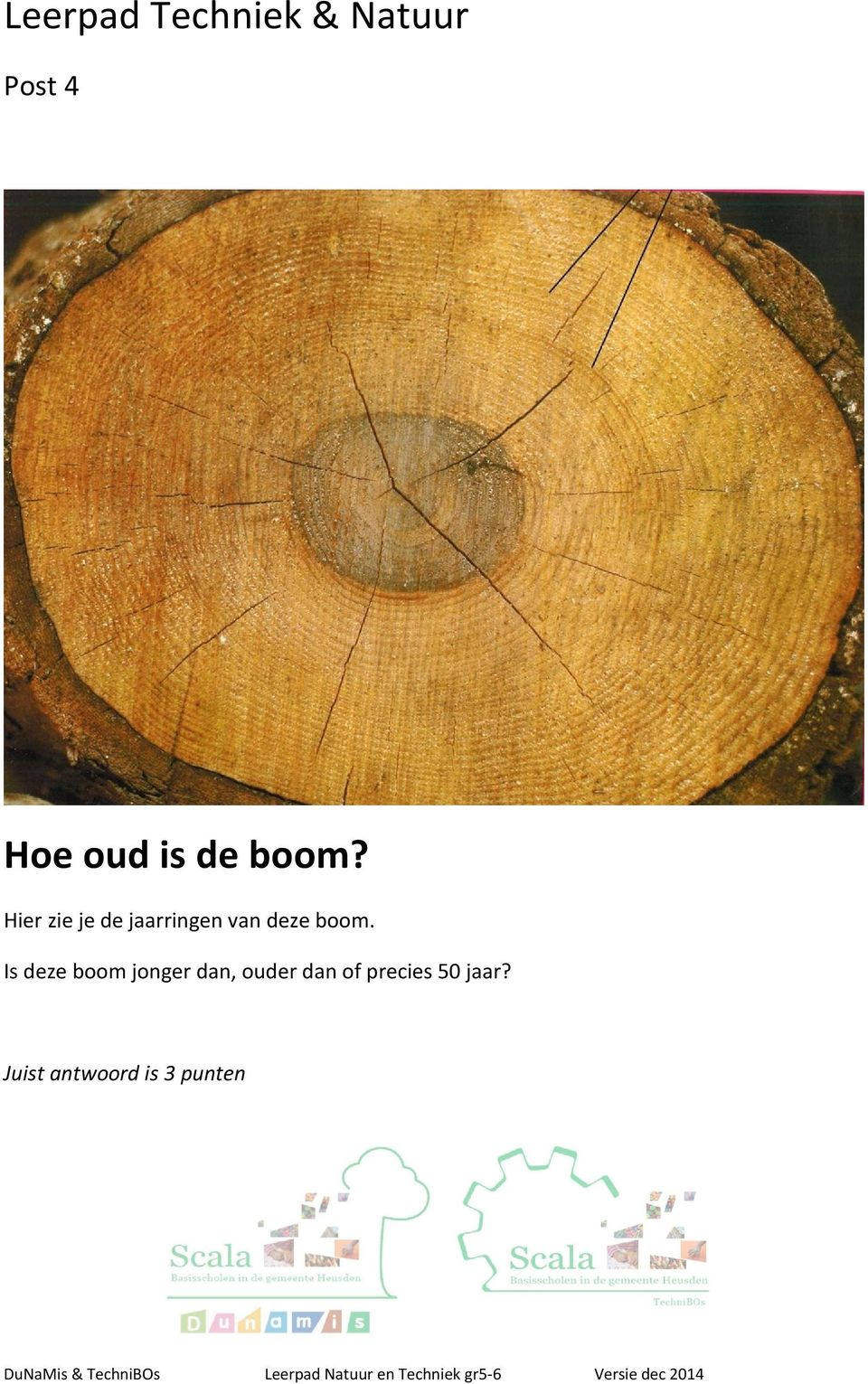 Hier zie je de jaarringen van deze boom.