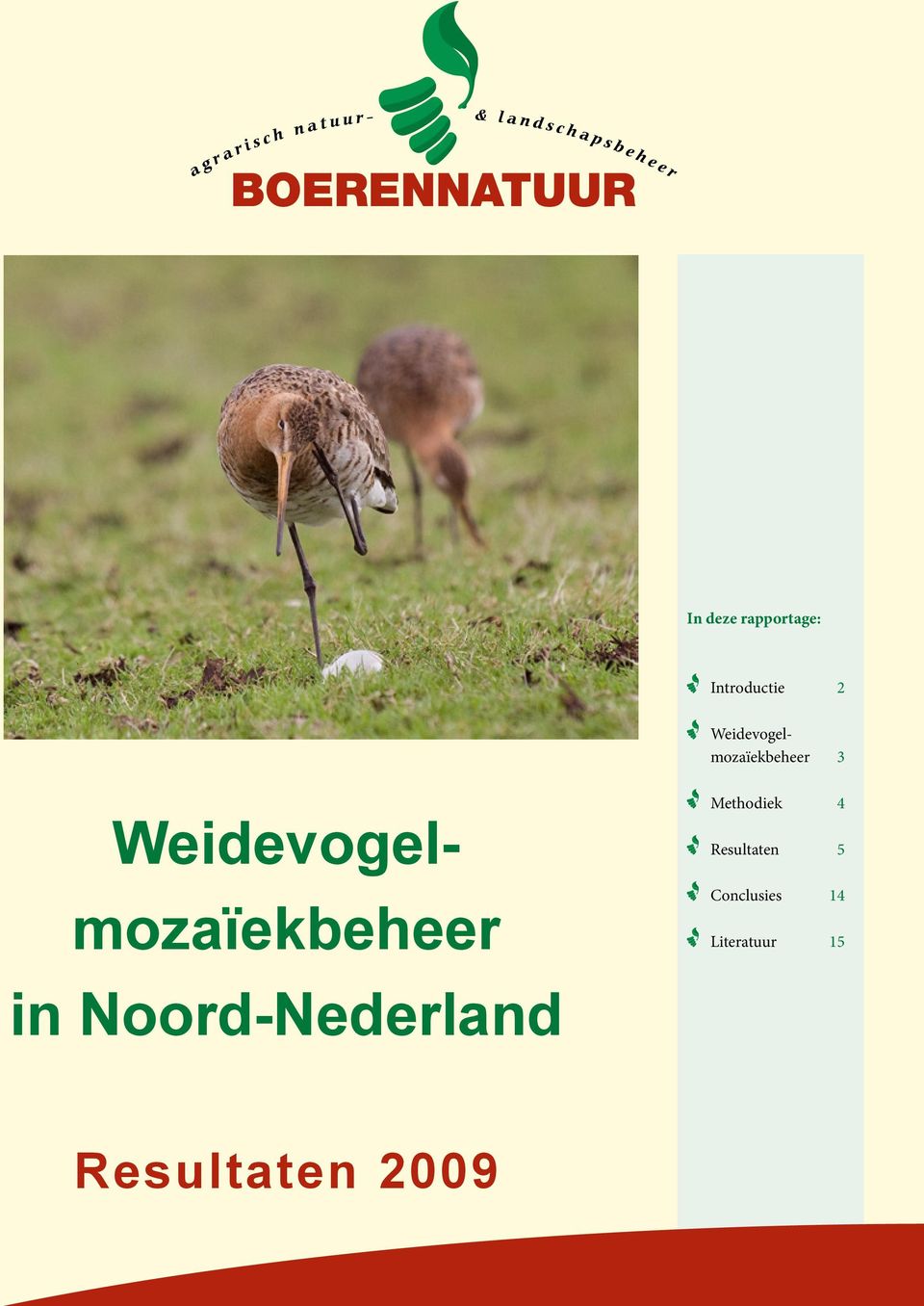 weidevogelmozaïekbeheer in