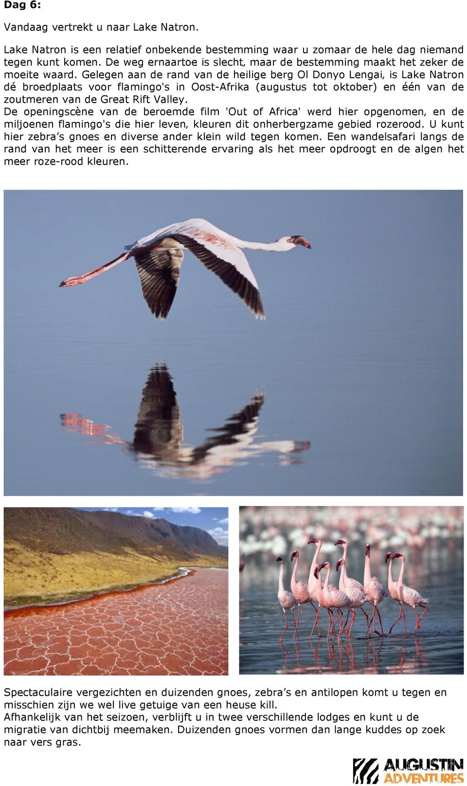 Gelegen aan de rand van de heilige berg Ol Donyo Lengai is Lake Natron dé broedplaats voor flamingo's in Oost-Afrika (augustus tot oktober) en één van de zoutmeren van de Great Rift Valley.