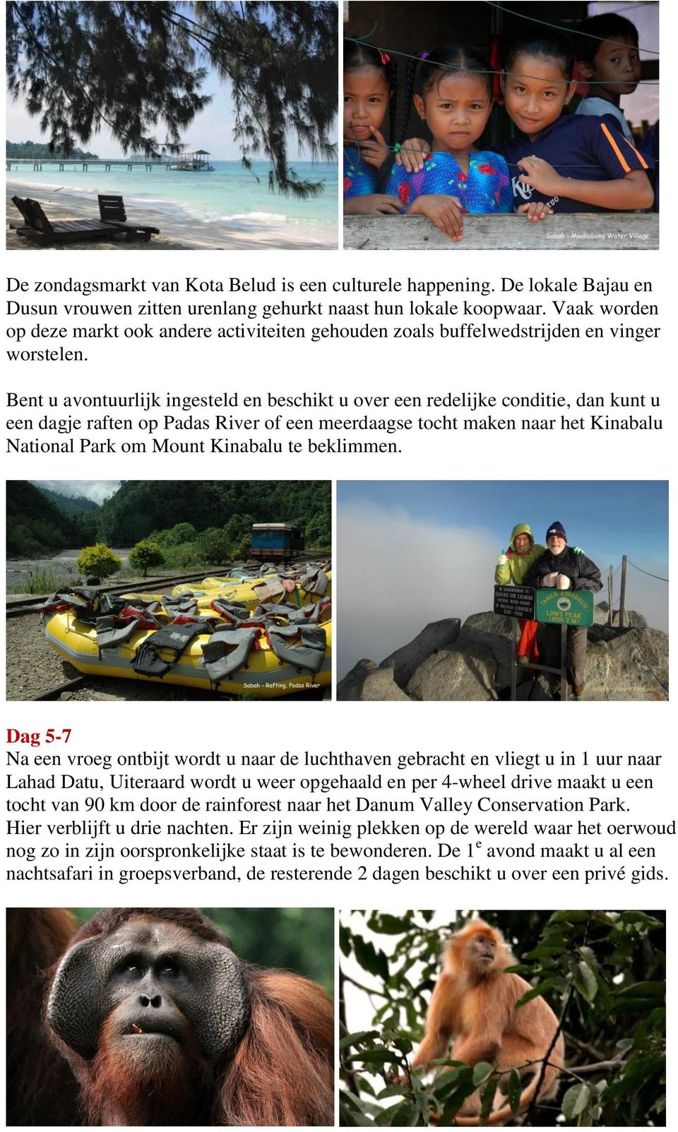 Bent u avontuurlijk ingesteld en beschikt u over een redelijke conditie, dan kunt u een dagje raften op Padas River of een meerdaagse tocht maken naar het Kinabalu National Park om Mount Kinabalu te