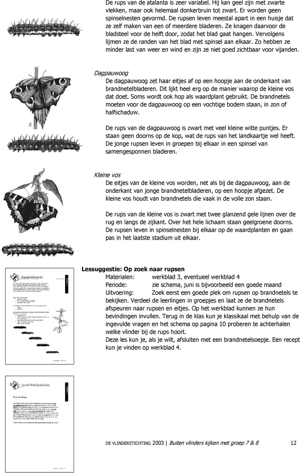 Vervolgens lijmen ze de randen van het blad met spinsel aan elkaar. Zo hebben ze minder last van weer en wind en zijn ze niet goed zichtbaar voor vijanden.