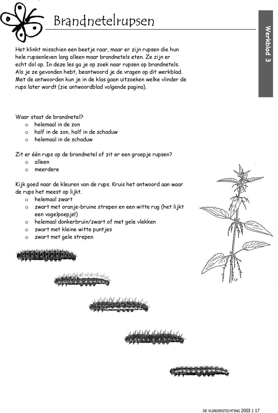 Met de antwoorden kun je in de klas gaan uitzoeken welke vlinder de rups later wordt (zie antwoordblad volgende pagina). Werkblad 3 Waar staat de brandnetel?