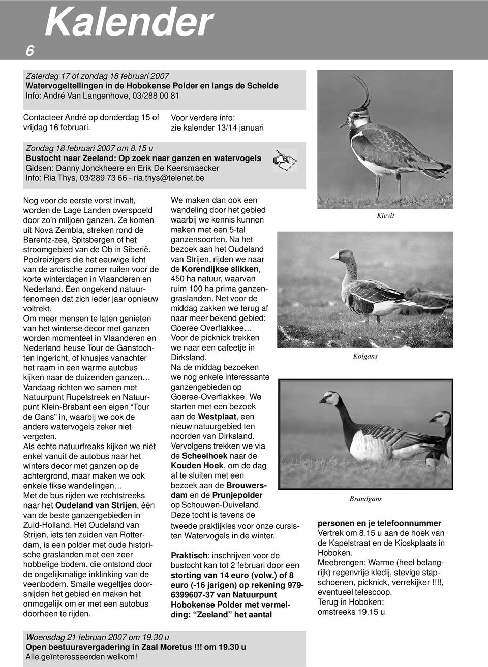 15 u Bustocht naar Zeeland: Op zoek naar ganzen en watervogels Gidsen: Danny Jonckheere en Erik De Keersmaecker Info: Ria Thys, 03/289 73 66 - ria.thys@telenet.