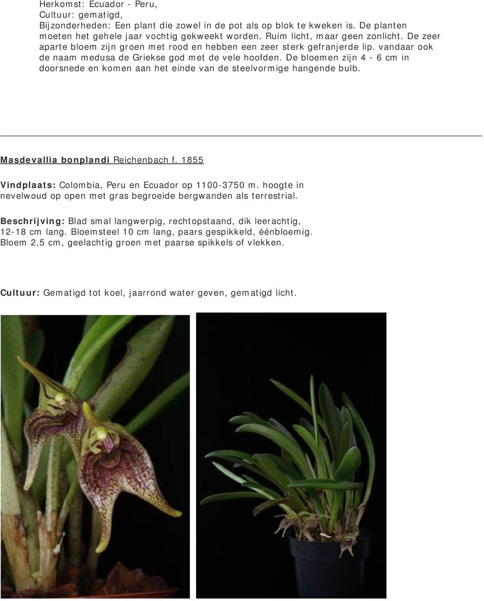 De bloemen zijn 4-6 cm in doorsnede en komen aan het einde van de steelvormige hangende bulb. Masdevallia bonplandi Reichenbach f. 1855 Vindplaats: Colombia, Peru en Ecuador op 1100-3750 m.