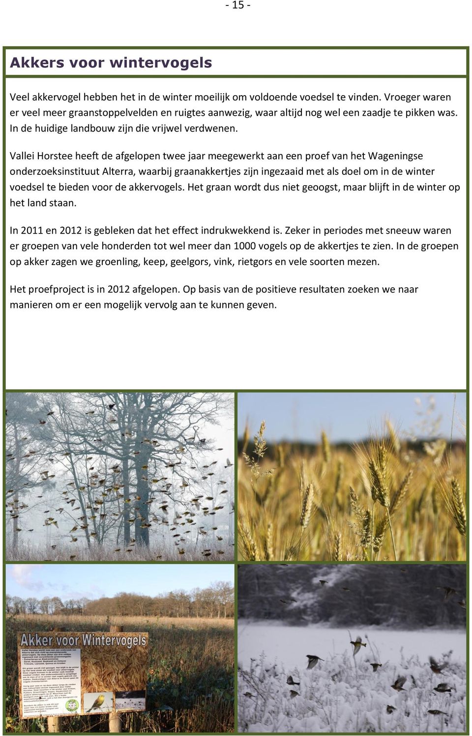 Vallei Horstee heeft de afgelopen twee jaar meegewerkt aan een proef van het Wageningse onderzoeksinstituut Alterra, waarbij graanakkertjes zijn ingezaaid met als doel om in de winter voedsel te