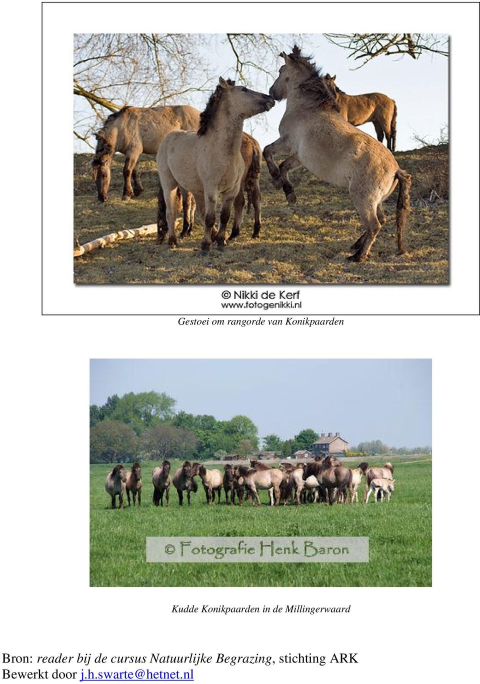 reader bij de cursus Natuurlijke Begrazing,