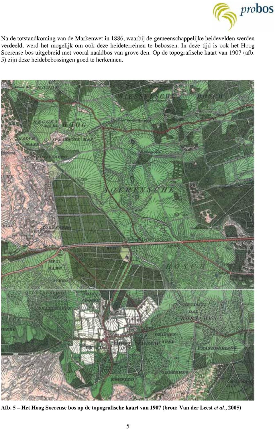 In deze tijd is ook het Hoog Soerense bos uitgebreid met vooral naaldbos van grove den.