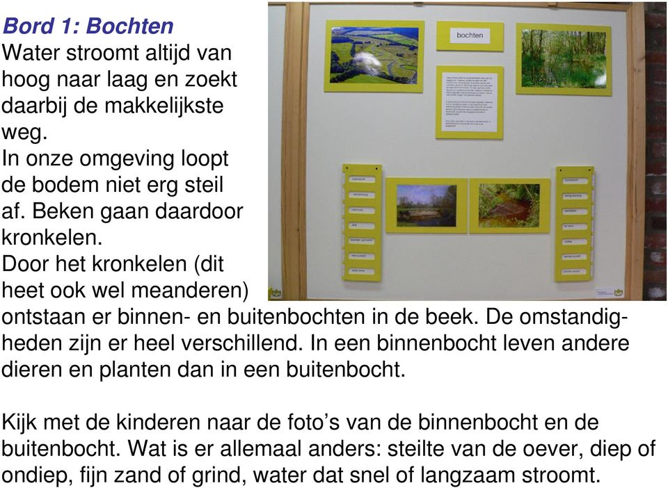 De omstandigheden zijn er heel verschillend. In een binnenbocht leven andere dieren en planten dan in een buitenbocht.