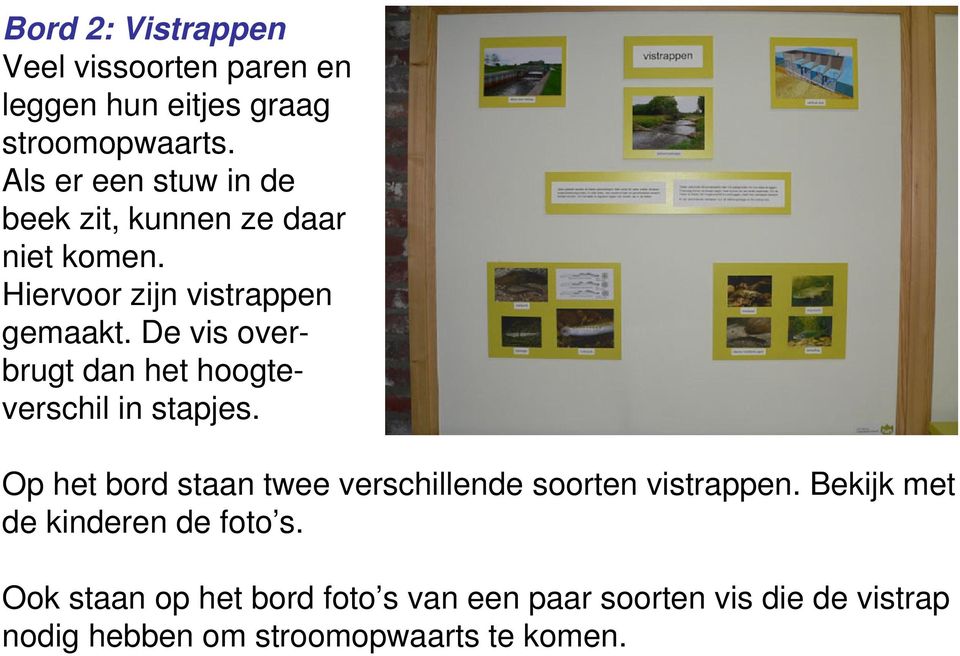 De vis overbrugt dan het hoogteverschil in stapjes. Op het bord staan twee verschillende soorten vistrappen.