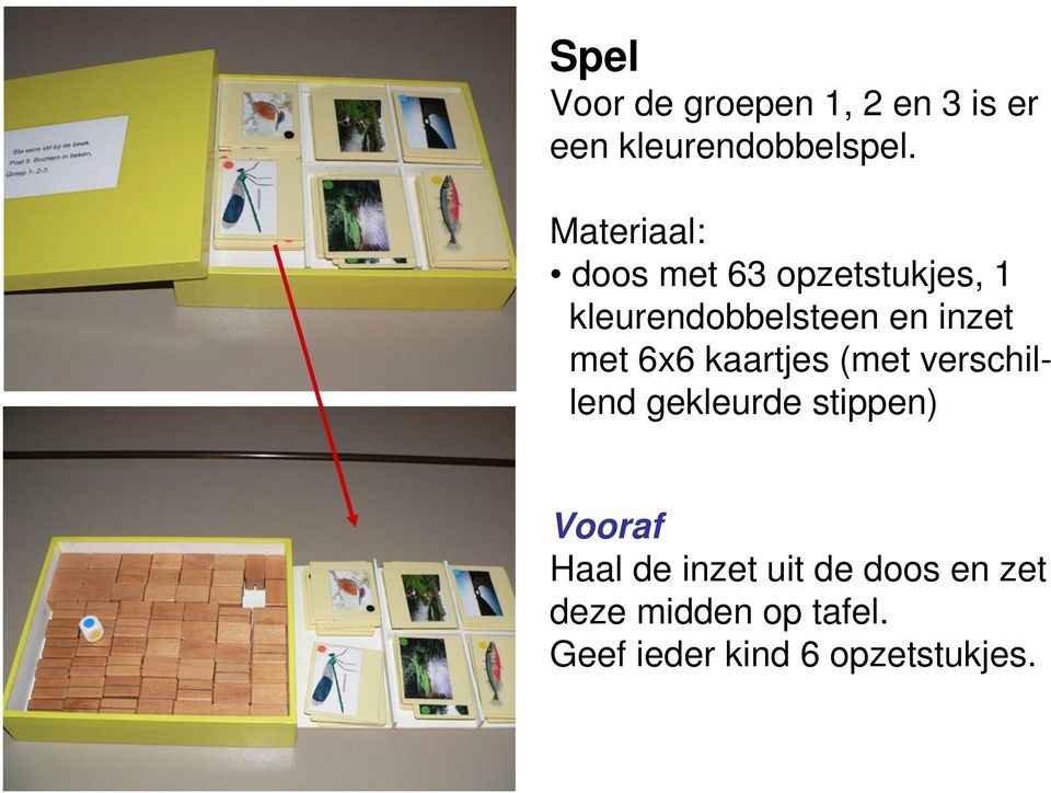 met 6x6 kaartjes (met verschillend gekleurde stippen) Vooraf Haal de