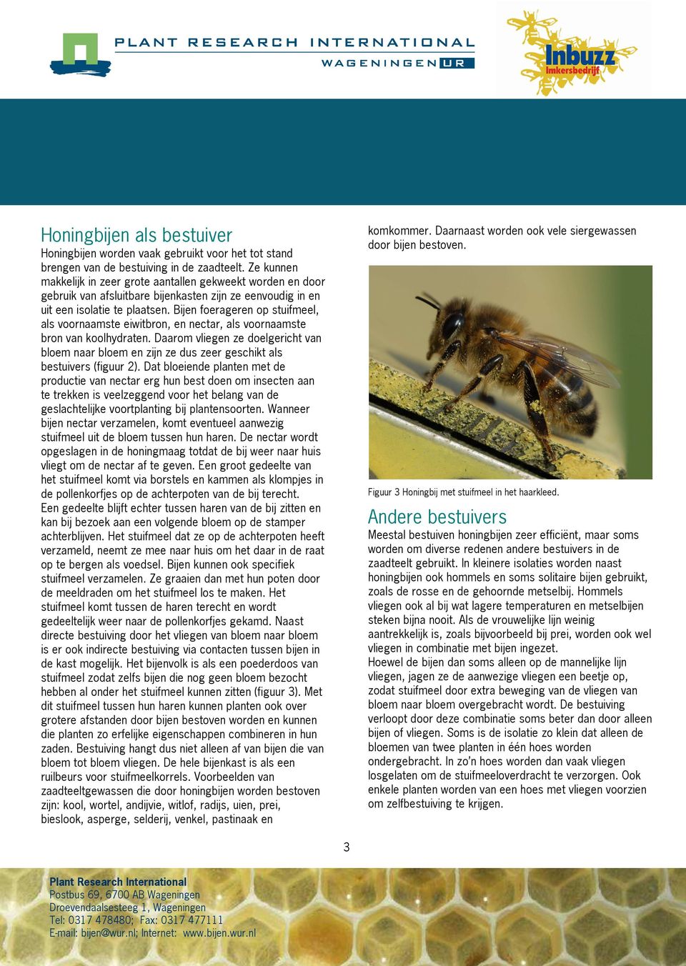 Bijen foerageren op stuifmeel, als voornaamste eiwitbron, en nectar, als voornaamste bron van koolhydraten.