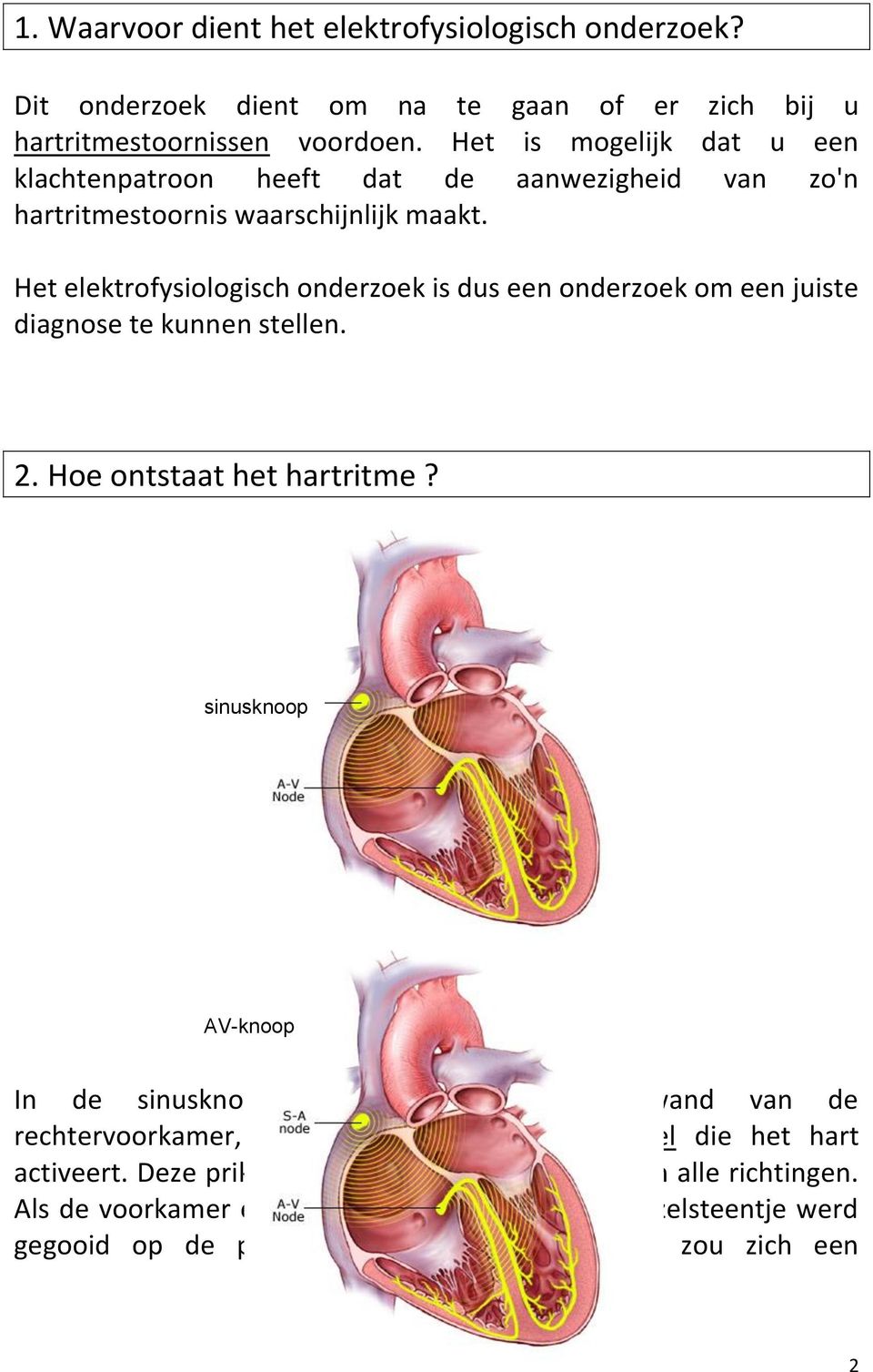 Het elektrofysiologisch onderzoek is dus een onderzoek om een juiste diagnose te kunnen stellen. 2. Hoe ontstaat het hartritme?