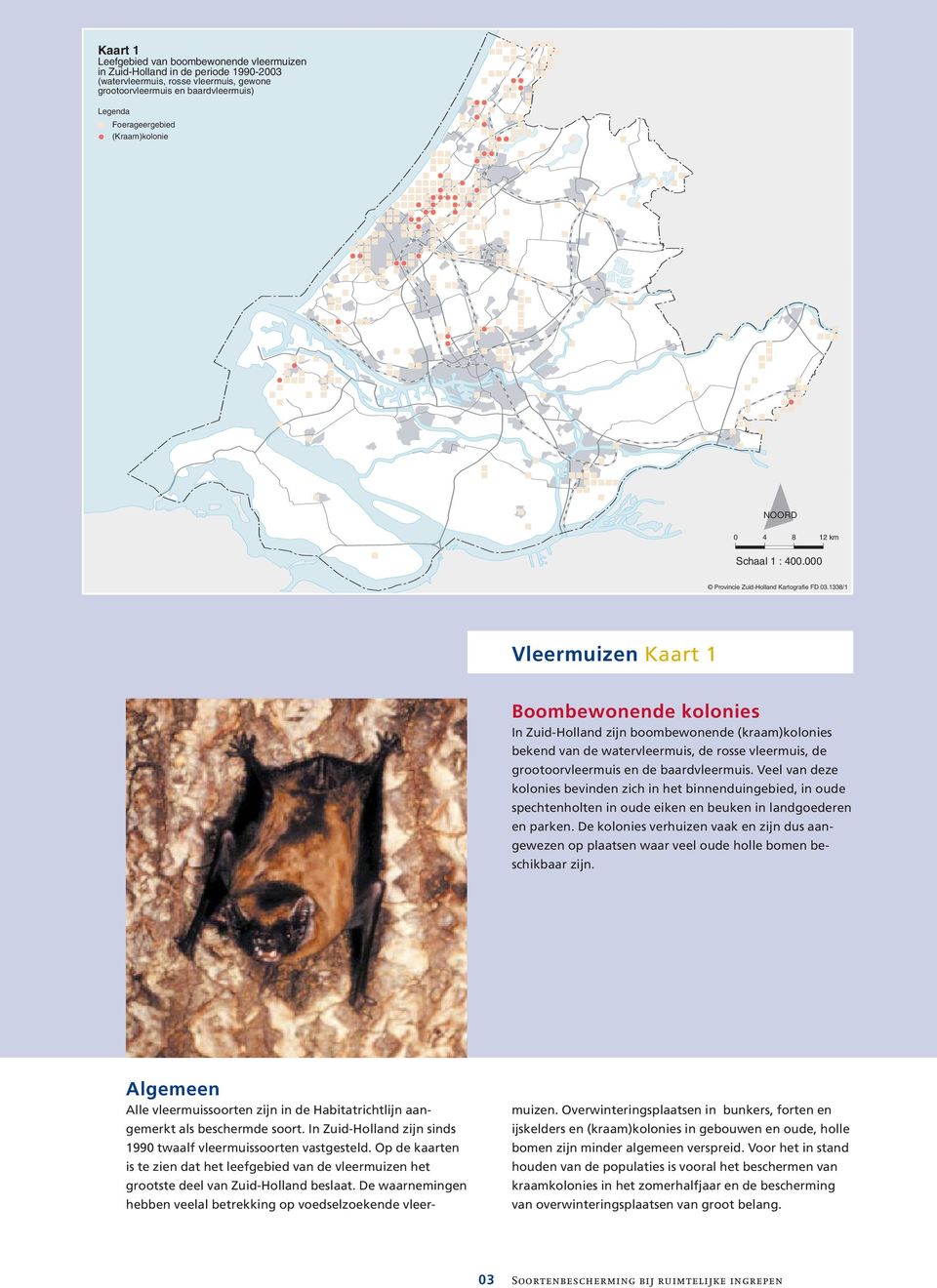 1338/1 Vleermuizen Kaart (kaart 1 3) Gebouwbewonende Boombewonende kolonies In Zuid-Holland zijn vele boombewonende tientallen kraamkolonies (kraam)kolonies bekend van bekend gebouwbewonende van