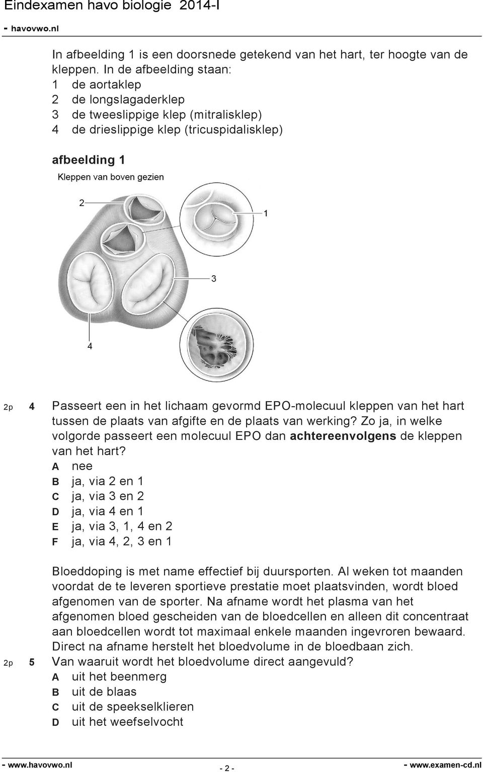 EPO-molecuul kleppen van het hart tussen de plaats van afgifte en de plaats van werking? Zo ja, in welke volgorde passeert een molecuul EPO dan achtereenvolgens de kleppen van het hart?