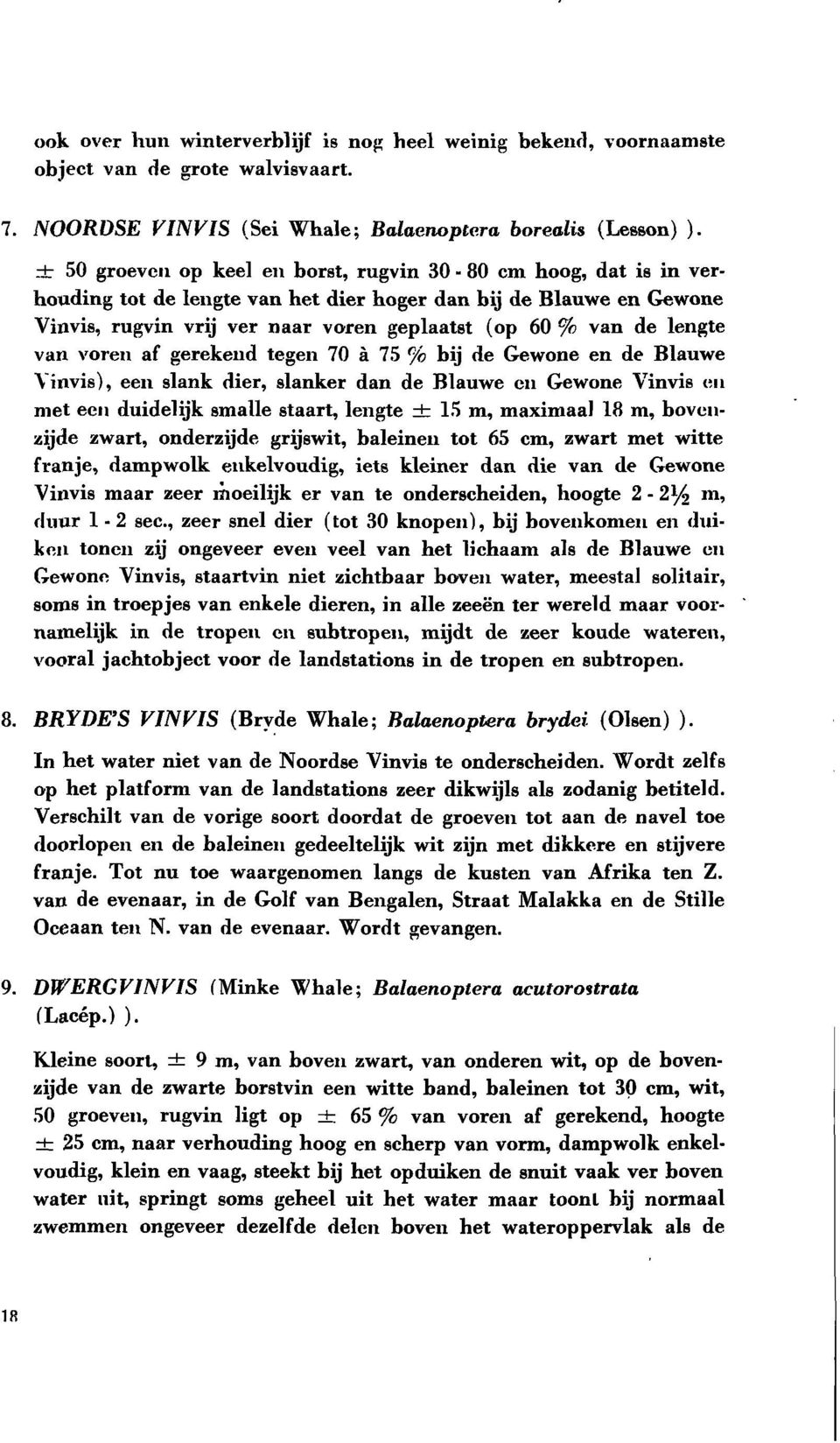 lengte van voren af gerekend tegen 70 à 75 % bij de Gewone en de Blauwe Vinvis), een slank dier, slanker dan de Blauwe en Gewone Vinvis en met een duidelijk smalle staart, lengte db 15 m, maximaal 18