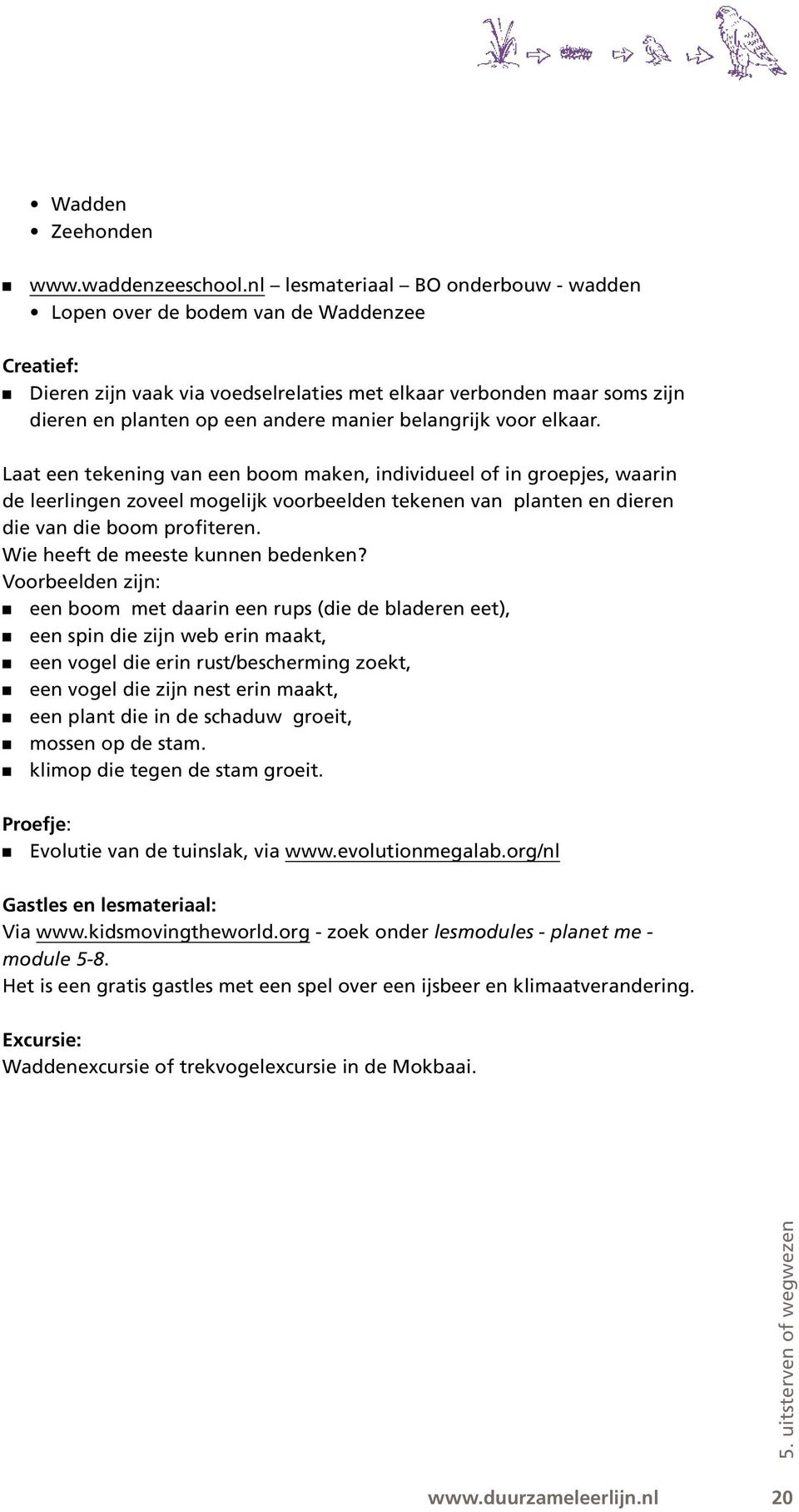 belangrijk voor elkaar. Laat een tekening van een boom maken, individueel of in groepjes, waarin de leerlingen zoveel mogelijk voorbeelden tekenen van planten en dieren die van die boom profiteren.