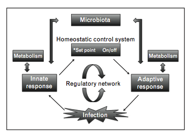 Early life response to infection