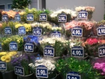 2.3 Prijsbeleving Franse shoppers vinden over het algemeen het prijsniveau in de bloemenwinkels (zeer) acceptabel.