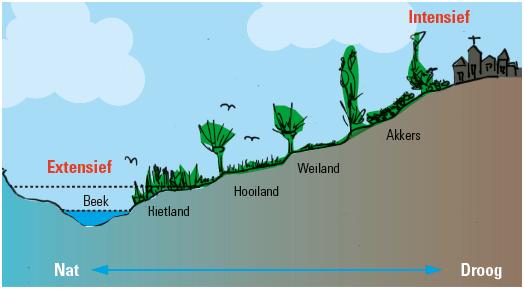 Vroeger: OVERAL wat anders doen (afhankelijk van o.a. de waterstand, het reliëf,.