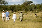 Rondreizen / Afrika & Midden-Oosten / Zuid-Afrika Code 288219 P avontuur op maat Niveau Accommodatie Kruger * Ngala Timbavati Game Reserve, 3 dagen, verblijf in luxe tented-lodge Aan de oever van de