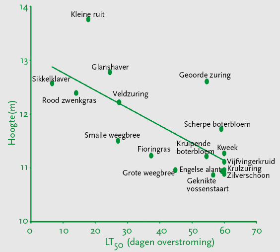 Plantzonering 6 4 overstromingsgevoelige soorten 8 overstromingstolerante soorten pioniersoorten oct jan apr jul oct 99/994 Overstroming en