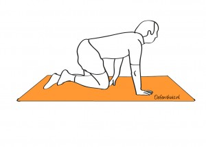LAGE RUG / STABILITEIT Oefening 11 Doel: de stabiliteit van de lage rug vergroten door de beginpositie te handhaven terwijl de armen en benen afwisselend uitgestrekt en ingetrokken worden. 1. Kruipstand 2.