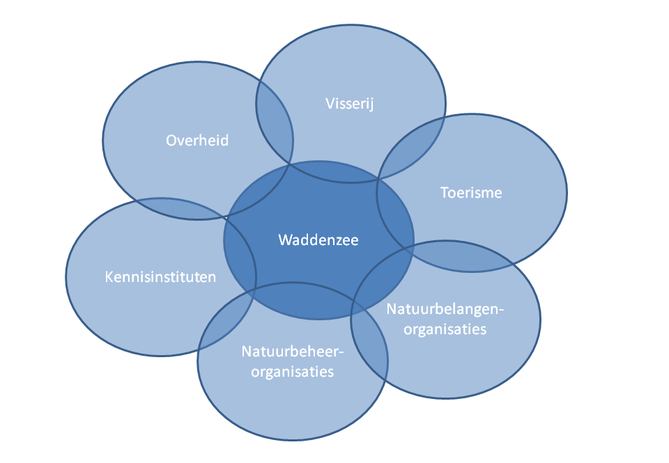 Figuur 7. Speelveld van zes groepen stakeholders die betrokken zijn bij een mogelijke terugkeer van de platte oester in de Waddenzee.