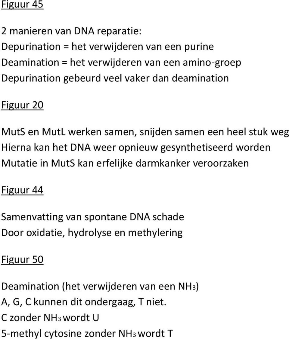 gesynthetiseerd worden Mutatie in MutS kan erfelijke darmkanker veroorzaken Figuur 44 Samenvatting van spontane DNA schade Door oxidatie, hydrolyse