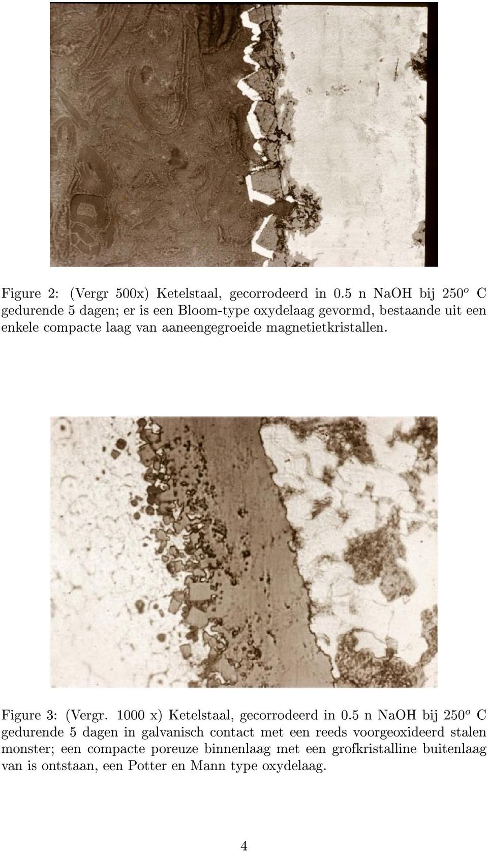 aaneengegroeide magnetietkristallen. Figure 3: (Vergr. 1000 x) Ketelstaal, gecorrodeerd in 0.