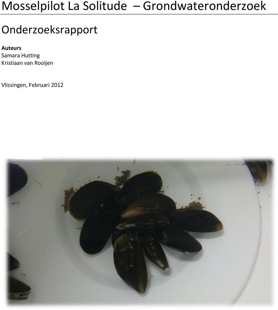 Onderzoeksrapport Auteurs Samara