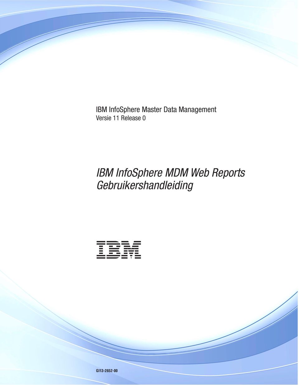 IBM InfoSphere MDM Web Reports