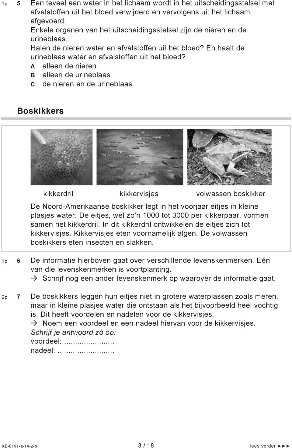 A alleen de nieren B alleen de urineblaas C de nieren en de urineblaas Boskikkers kikkerdril kikkervisjes volwassen boskikker De Noord-Amerikaanse boskikker legt in het voorjaar eitjes in kleine