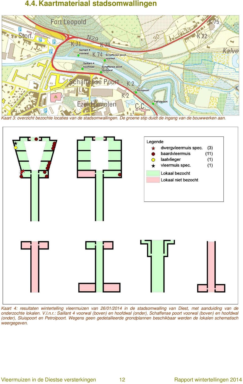 Kaart 4: resultaten wintertelling vleermuizen van 26/01/2014 in de stadsomwalling van Diest, met aanduiding van de onderzochte lokalen. V.l.n.r.: Saillant 4 voorwal (boven) en hoofdwal (onder), Schaffense poort voorwal (boven) en hoofdwal (onder), Sluispoort en Petrolpoort.