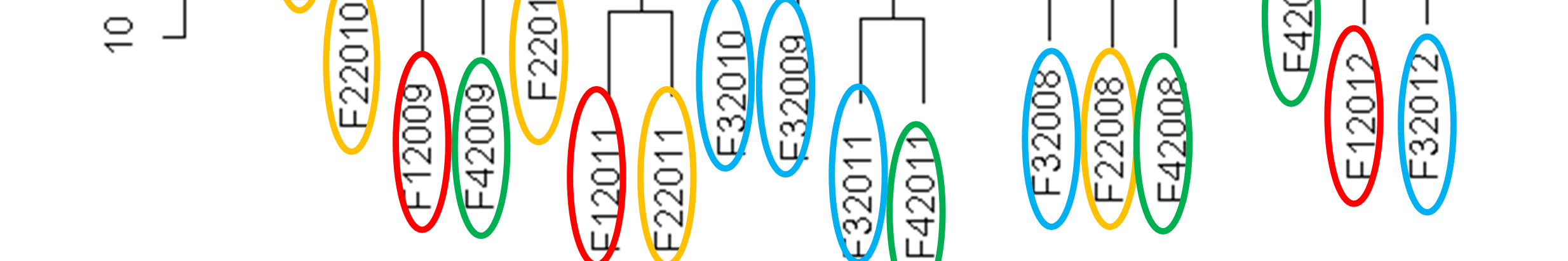 Figuur 12 Complete linkage clusteranalyse van jaargegevens per fuik (n=20) in het IJzer estuarium (2008-2012). Zelfde kleuraanduiding per jaar.