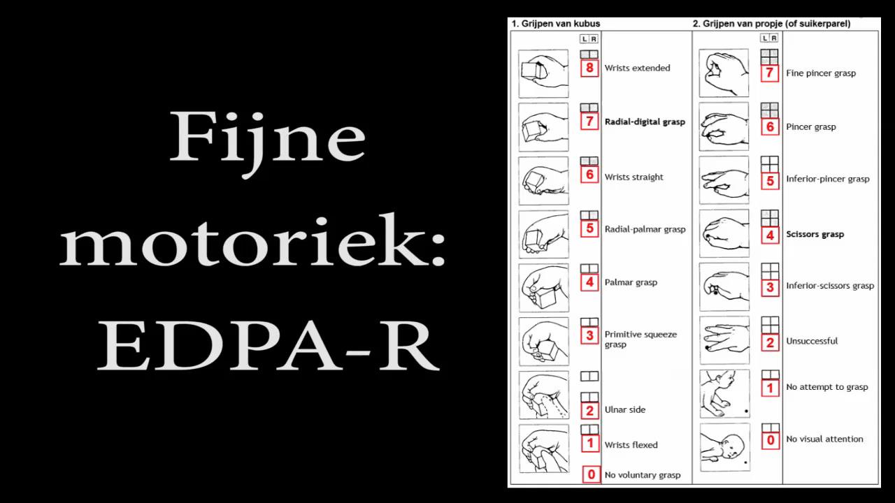 Fijne motoriek (EDPA-R) Fijne motoriek