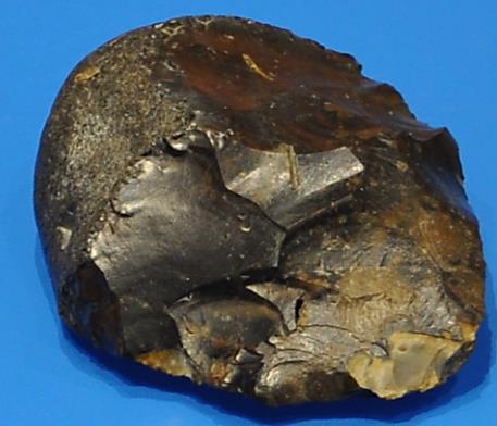 de steentijd Het Paleolithicum (de Steentijd) paleo = oud lithos = steen 300.000 12.500 v.chr.
