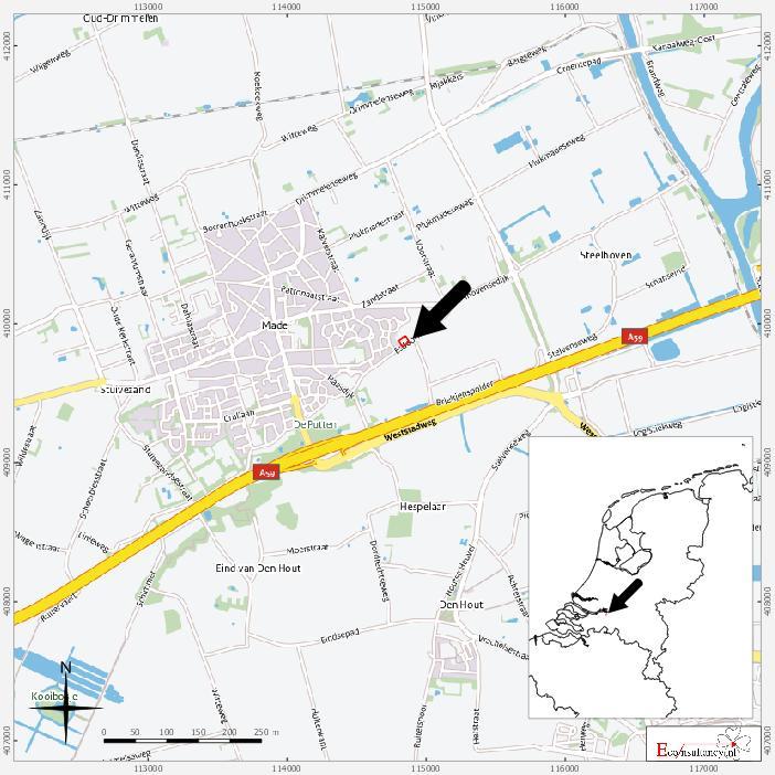 Figuur 1. Situering van het plangebied binnen Nederland Esdoornlaan tussen nr.