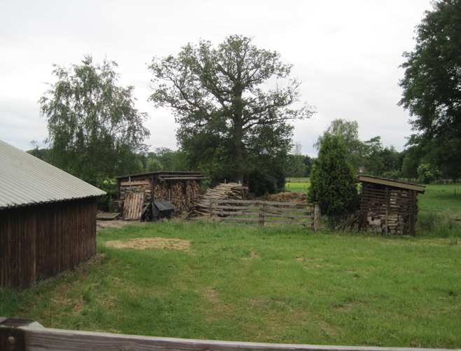 Analyse bestaande situatie De boerderij is duidelijk het hoofdgebouw op het erf door de vorm en materiaalgebruik. Oude karakteristieke schuur. In gebruik door een jeugdclub.