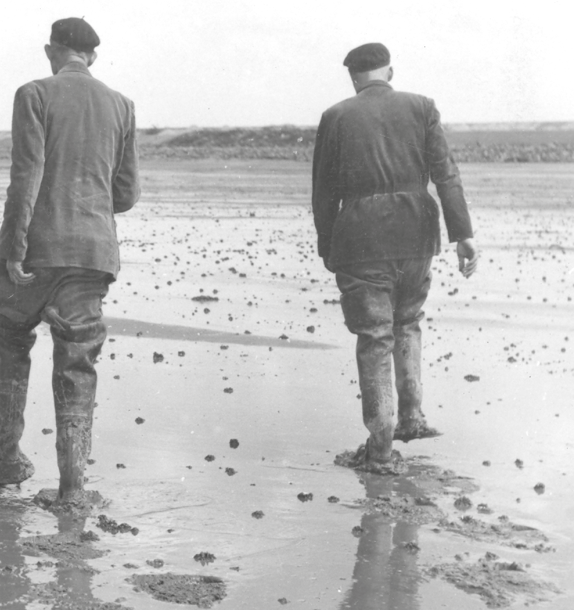 verblijfsaccommodaties, en tussen ondernemers onderling. Een deel van de bijzondere kwaliteiten van Flevoland is (mede) hierdoor voor veel mensen niet beleefbaar.