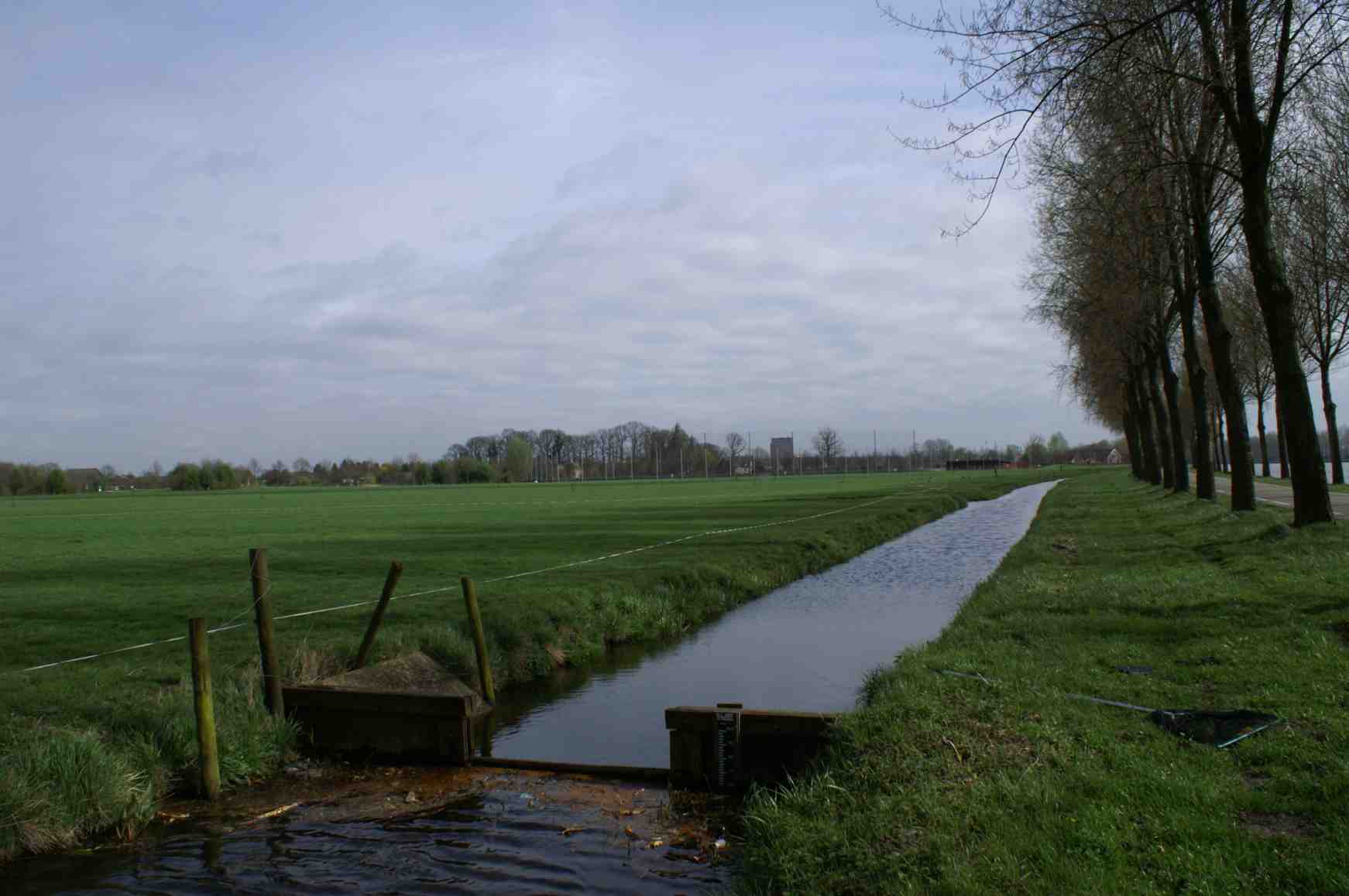 Fotobijlage (alle foto s gemaakt op 7 april 2011 door G.J. Brandjes) Dotterbloem: één van de vier pollen aangetroffen 200 meter ten noorden van plangebied (7 april 2011).