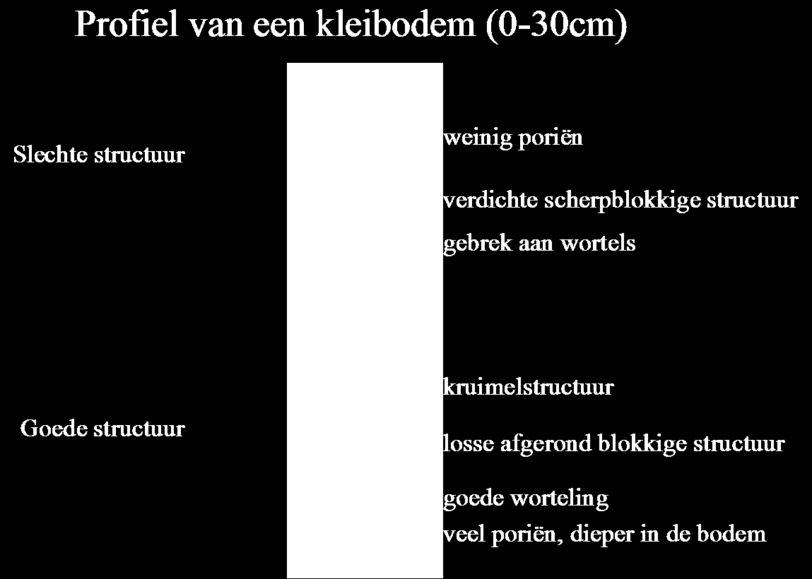 Compost en ziekteweerbaarheid