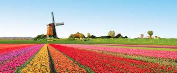 Implementatie Europese richtlijn in Nederland Uiterlijk 18 april 2016. Wordt 1 juli 2016.