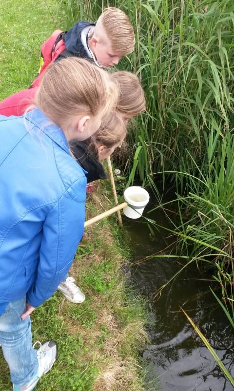 Activiteiten basisonderwijs WATER 78 groepen met